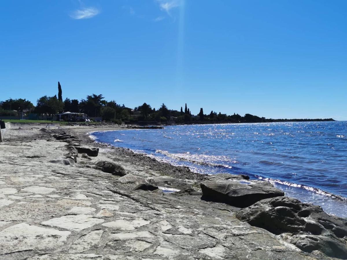 Appartement App Palcic K à Novigrad Istria Extérieur photo