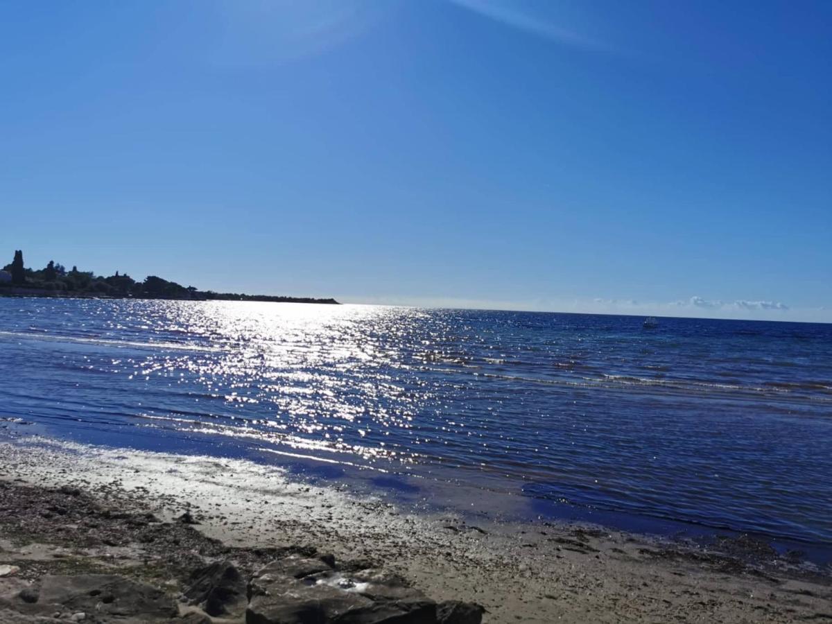 Appartement App Palcic K à Novigrad Istria Extérieur photo