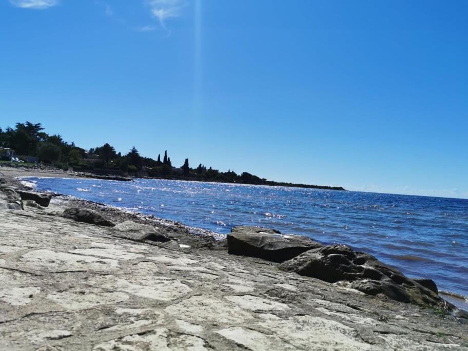 Appartement App Palcic K à Novigrad Istria Extérieur photo