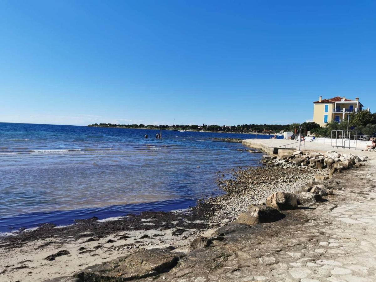 Appartement App Palcic K à Novigrad Istria Extérieur photo